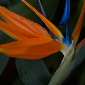 トップイメージ