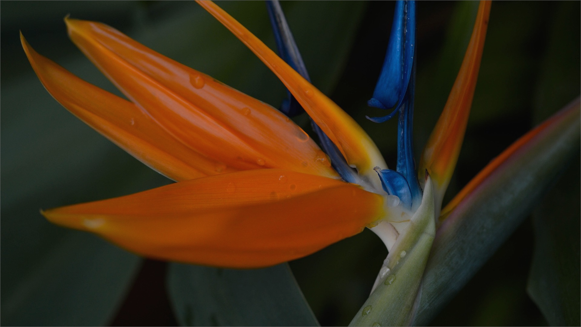 トップイメージ